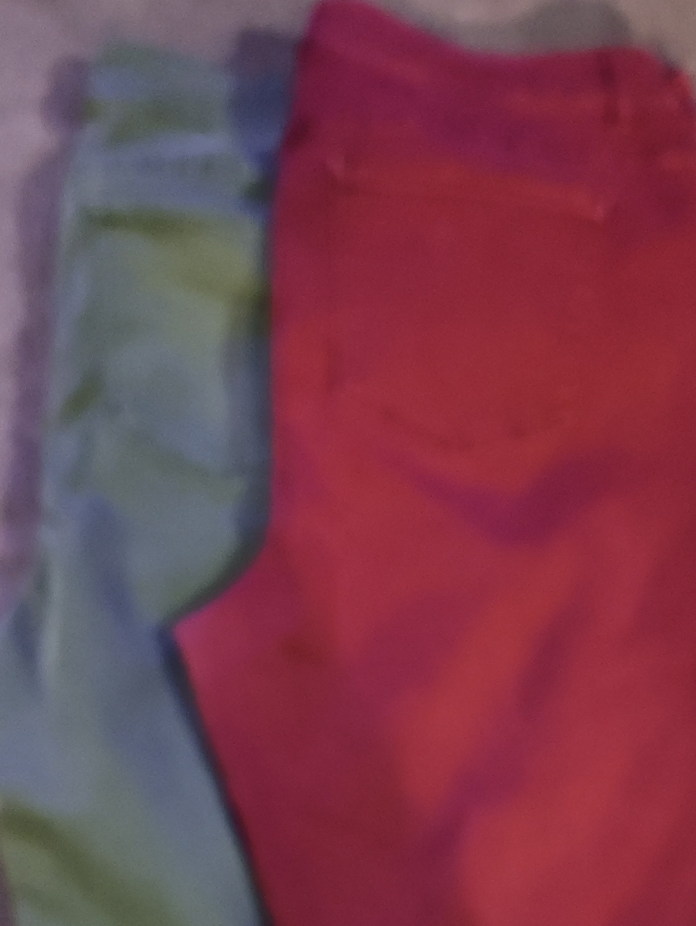 Dress Barn Women's Red and Light Green Stretch Pants.  Jeans